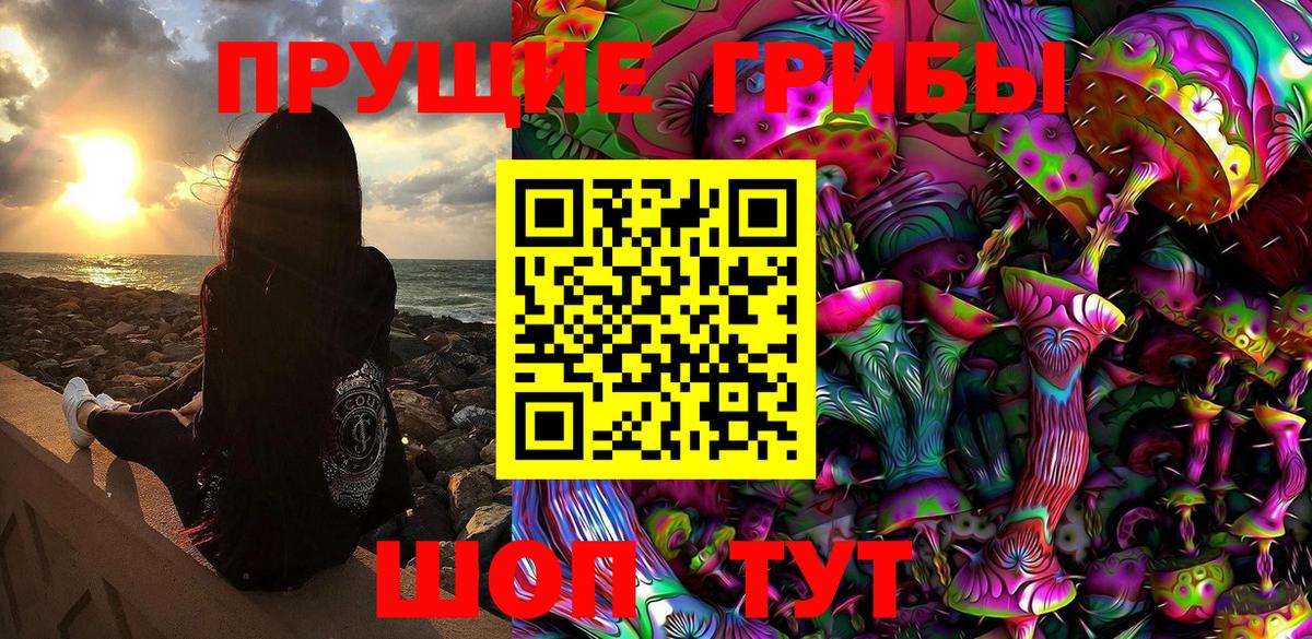 Псилоцибиновые грибы Psilocybine cubensis Качканар