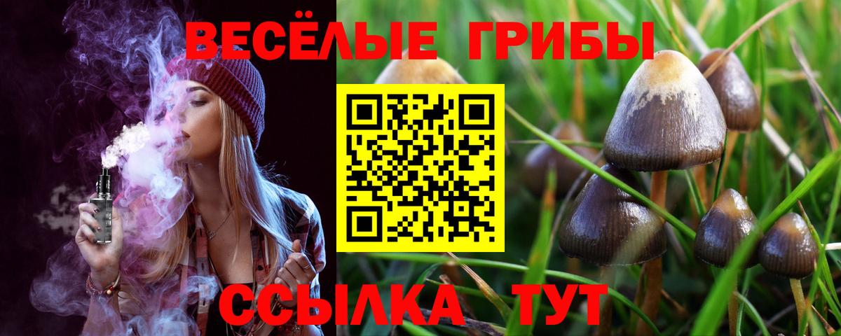Галлюциногенные грибы прущие грибы  Вход с VPN  Псилоцибиновые грибы мицелий  Качканар 